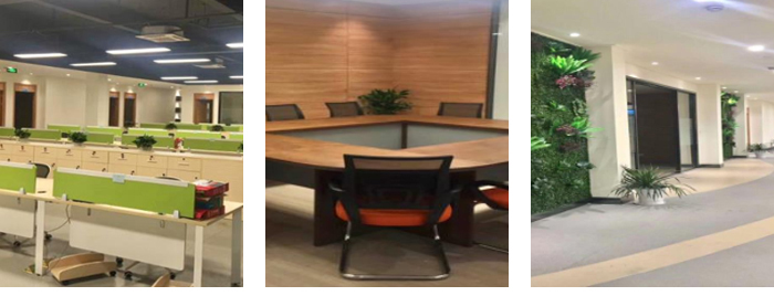 芯動(dòng)科技--公司環(huán)境